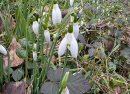 20260123saintgermaindesalles