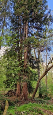 20250414_165053.jpg