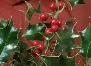 20251212rsbarragesep